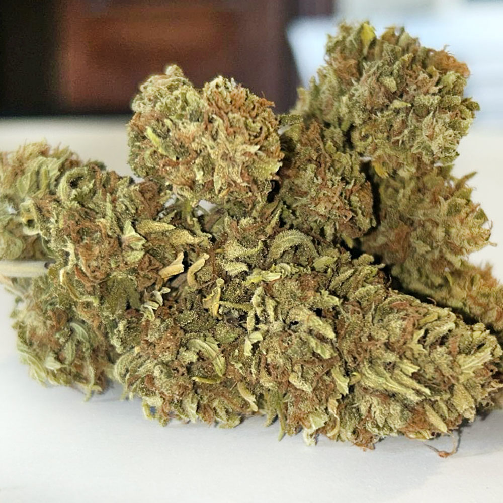 MATTER HILL - Image 2