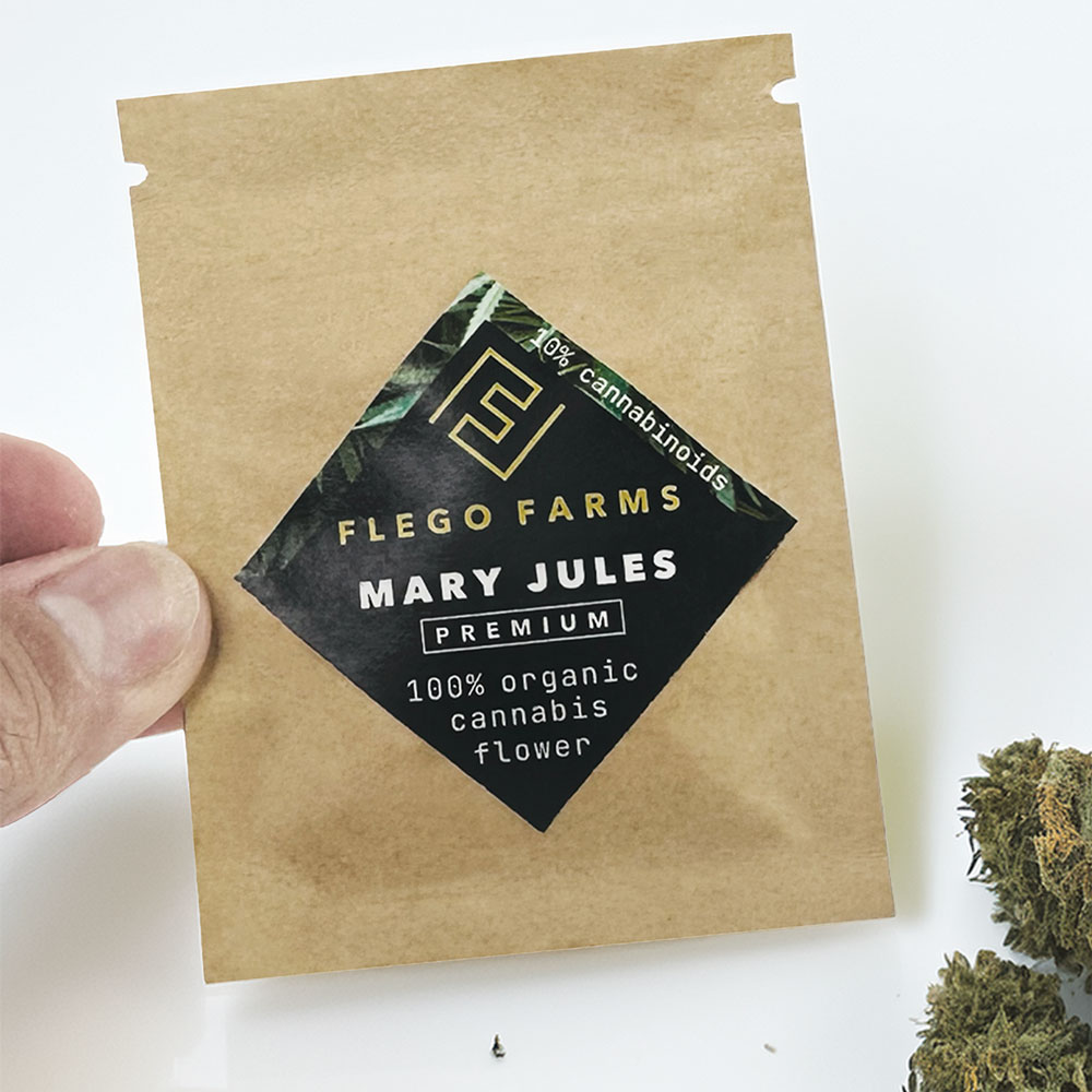 MARY JULES - Image 4