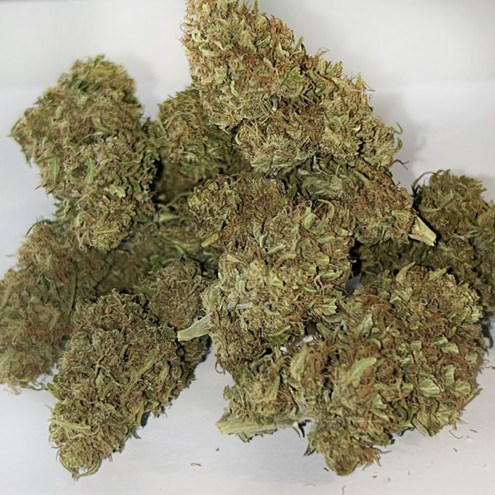 MARY JULES - Image 2