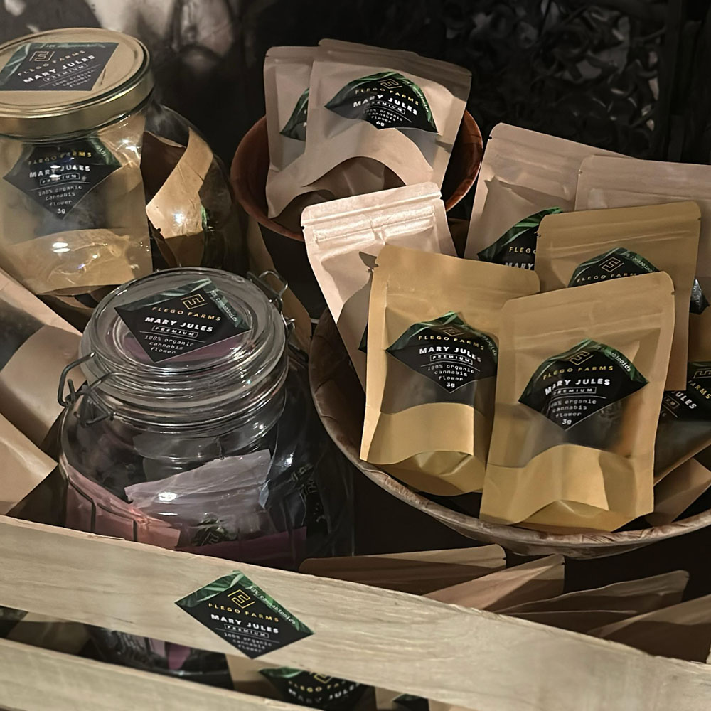 MARY JULES - Image 3